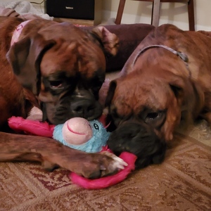 Fundraising Page: Kendra Williams-Packard